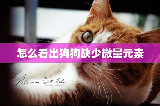 怎么看出狗狗缺少微量元素