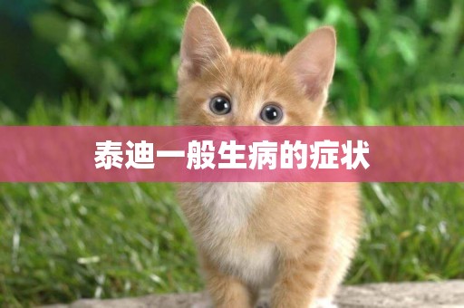 泰迪一般生病的癥狀
