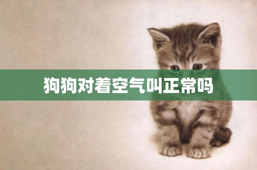 狗狗對著空氣叫正常嗎