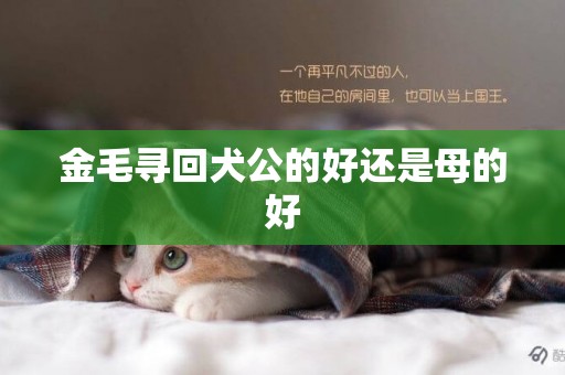 金毛尋回犬公的好還是母的好