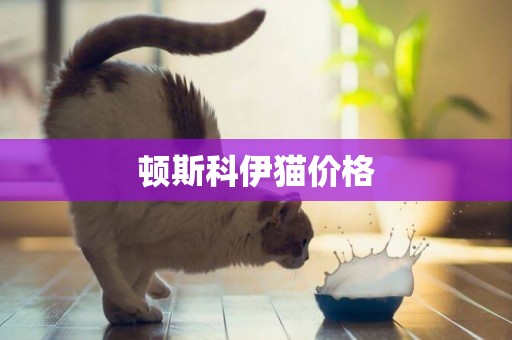 頓斯科伊貓價格