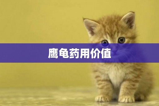 鷹龜藥用價值