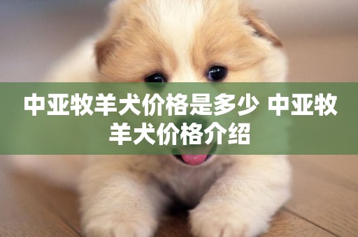 中亞牧羊犬價格是多少 中亞牧羊犬價格介紹