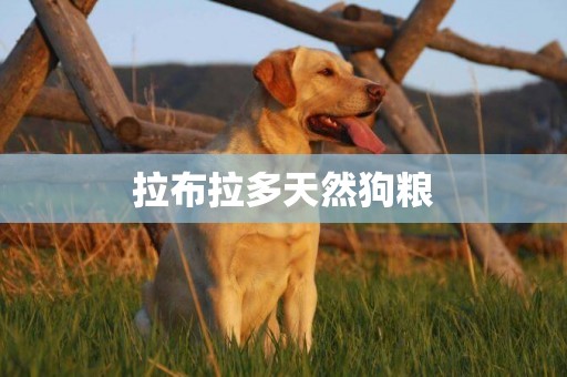 拉布拉多天然狗糧