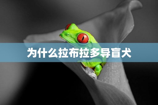 為什么拉布拉多導盲犬