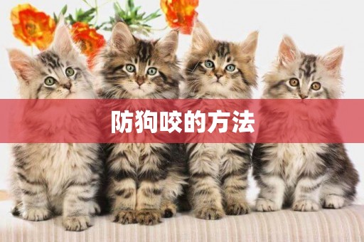 防狗咬的方法