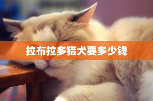 拉布拉多獵犬要多少錢