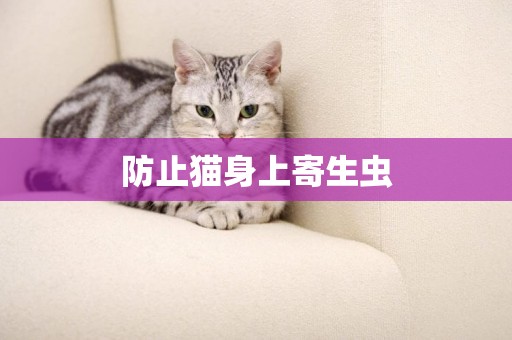 防止貓身上寄生蟲
