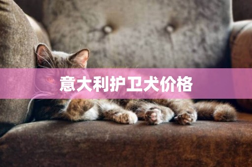 意大利護衛犬價格
