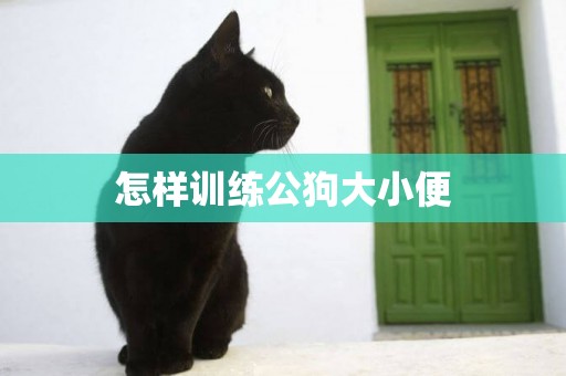 怎樣訓練公狗大小便