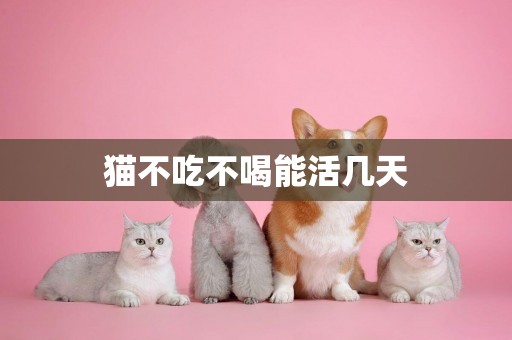 貓不吃不喝能活幾天