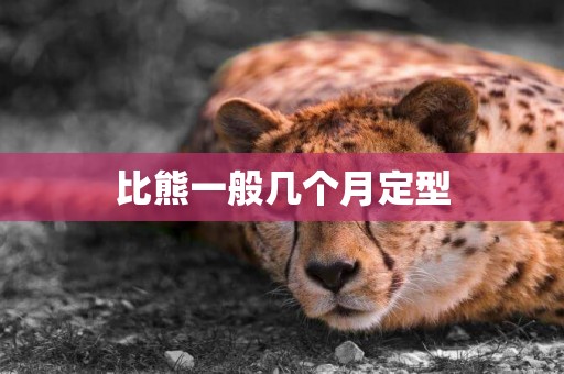 比熊一般幾個月定型