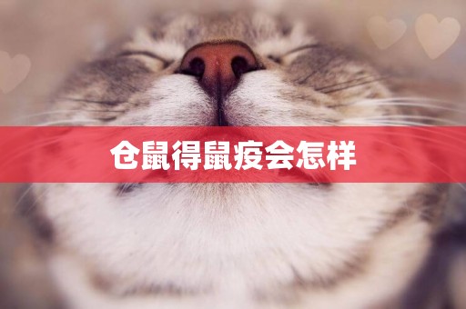 倉鼠得鼠疫會怎樣