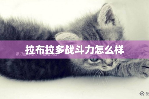 拉布拉多戰斗力怎么樣