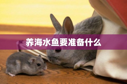 養海水魚要準備什么
