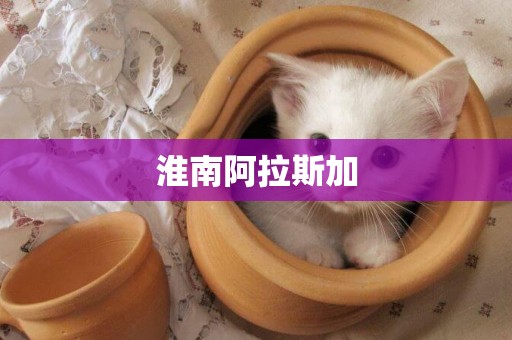 淮南阿拉斯加