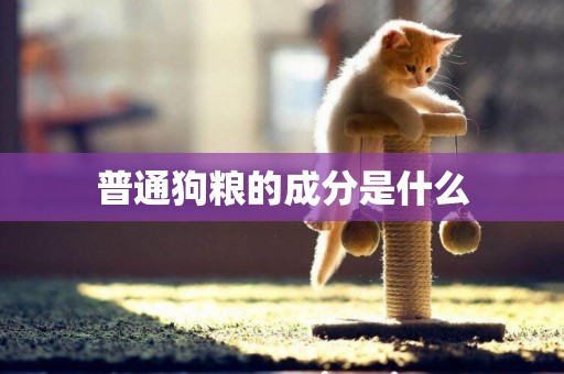 普通狗糧的成分是什么