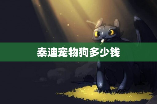 泰迪寵物狗多少錢