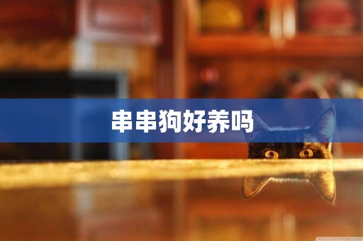 串串狗好養嗎