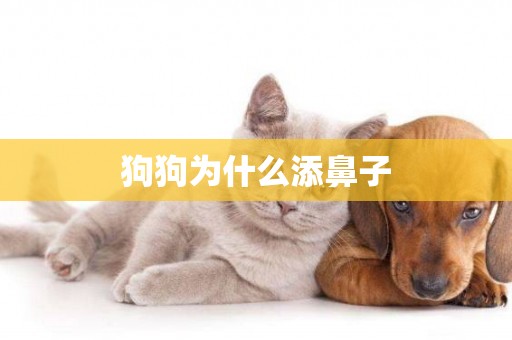 狗狗為什么添鼻子
