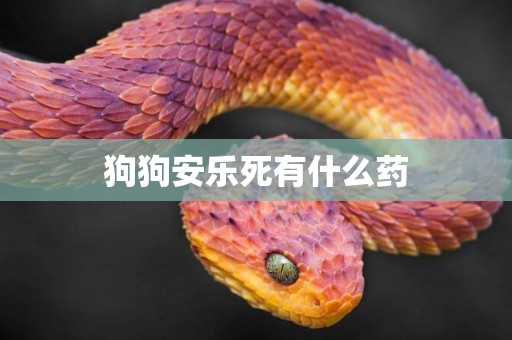 狗狗安樂死有什么藥