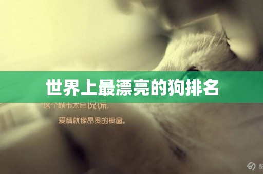 世界上最漂亮的狗排名