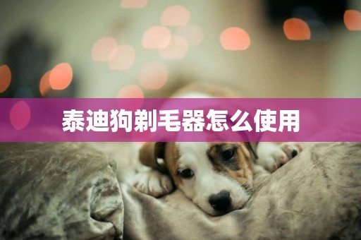 泰迪狗剃毛器怎么使用