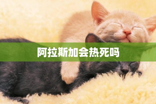 阿拉斯加會熱死嗎