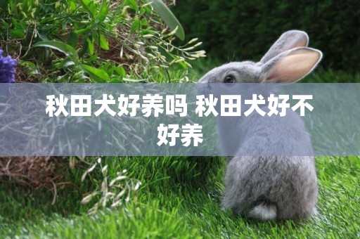 秋田犬好養嗎 秋田犬好不好養