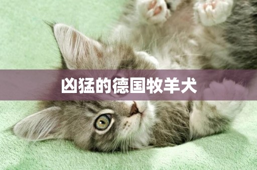 兇猛的德國牧羊犬