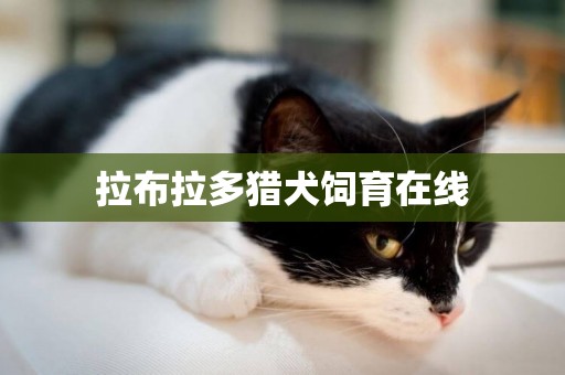 拉布拉多獵犬飼育在線