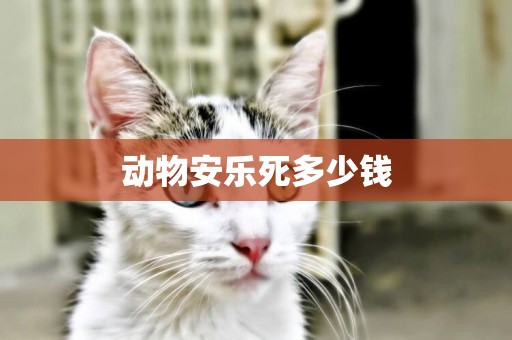 動物安樂死多少錢