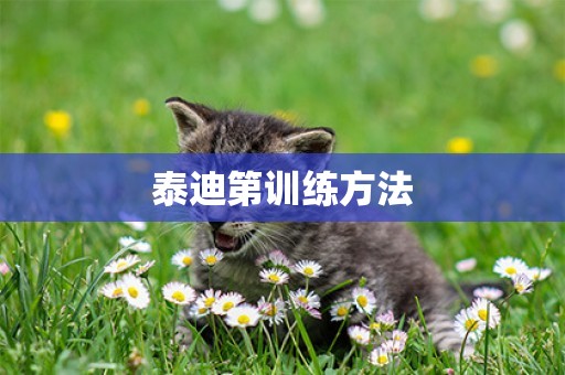 泰迪第訓練方法