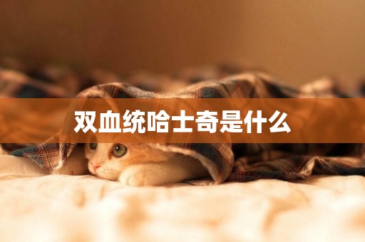 雙血統哈士奇是什么