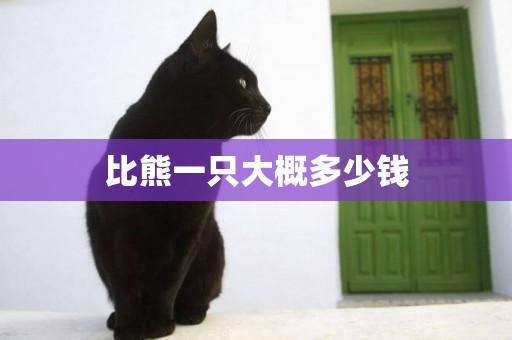 比熊一只大概多少錢