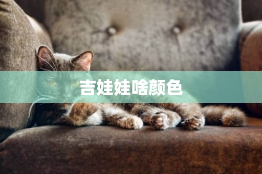 吉娃娃啥顏色