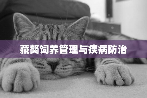 藏獒飼養管理與疾病防治