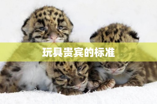 玩具貴賓的標準