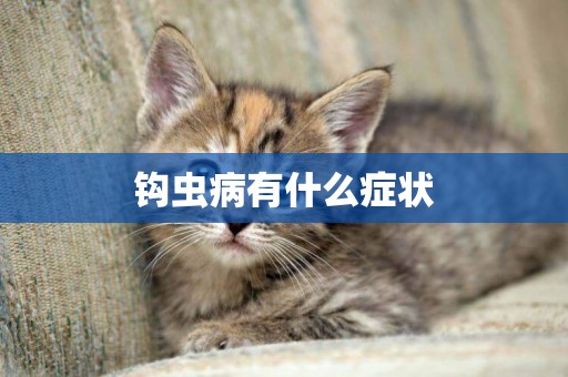 鉤蟲病有什么癥狀