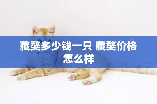藏獒多少錢一只 藏獒價格怎么樣