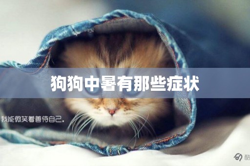 狗狗中暑有那些癥狀