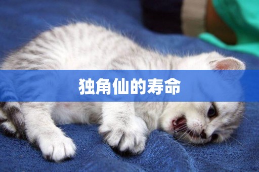 獨角仙的壽命