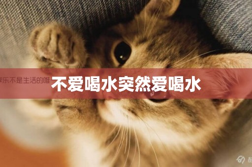 不愛喝水突然愛喝水