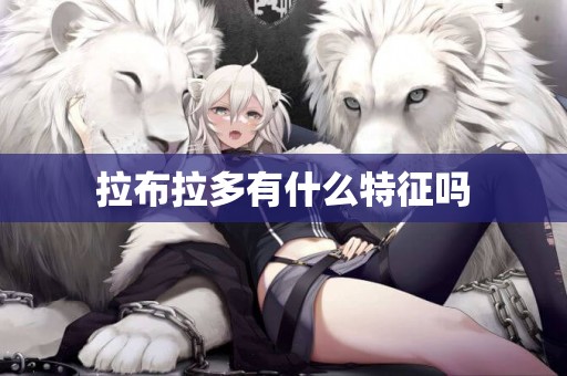 拉布拉多有什么特征嗎