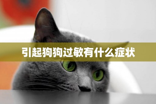 引起狗狗過敏有什么癥狀