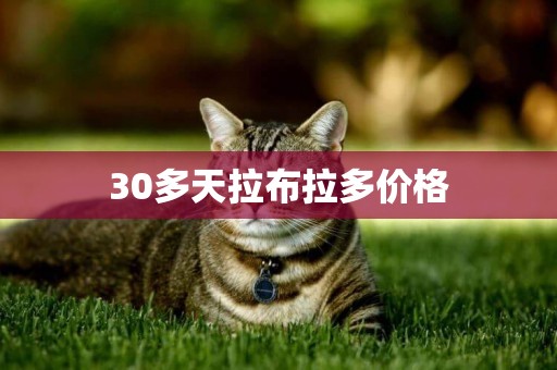 30多天拉布拉多價格