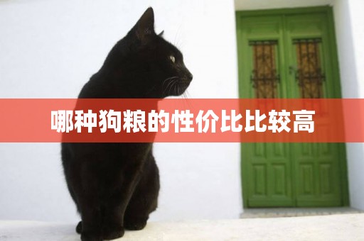 哪種狗糧的性價比比較高