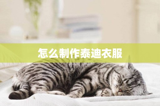 怎么制作泰迪衣服