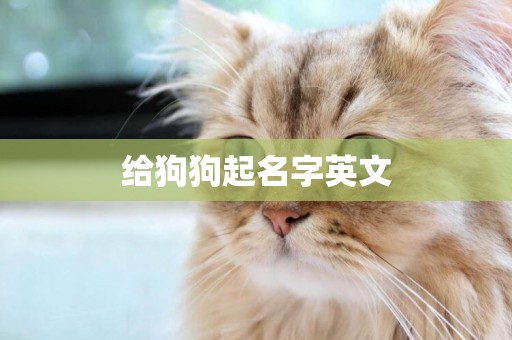 給狗狗起名字英文
