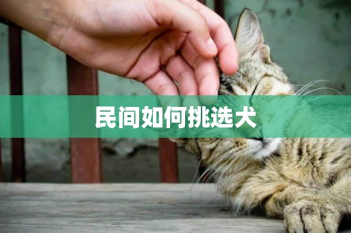 民間如何挑選犬